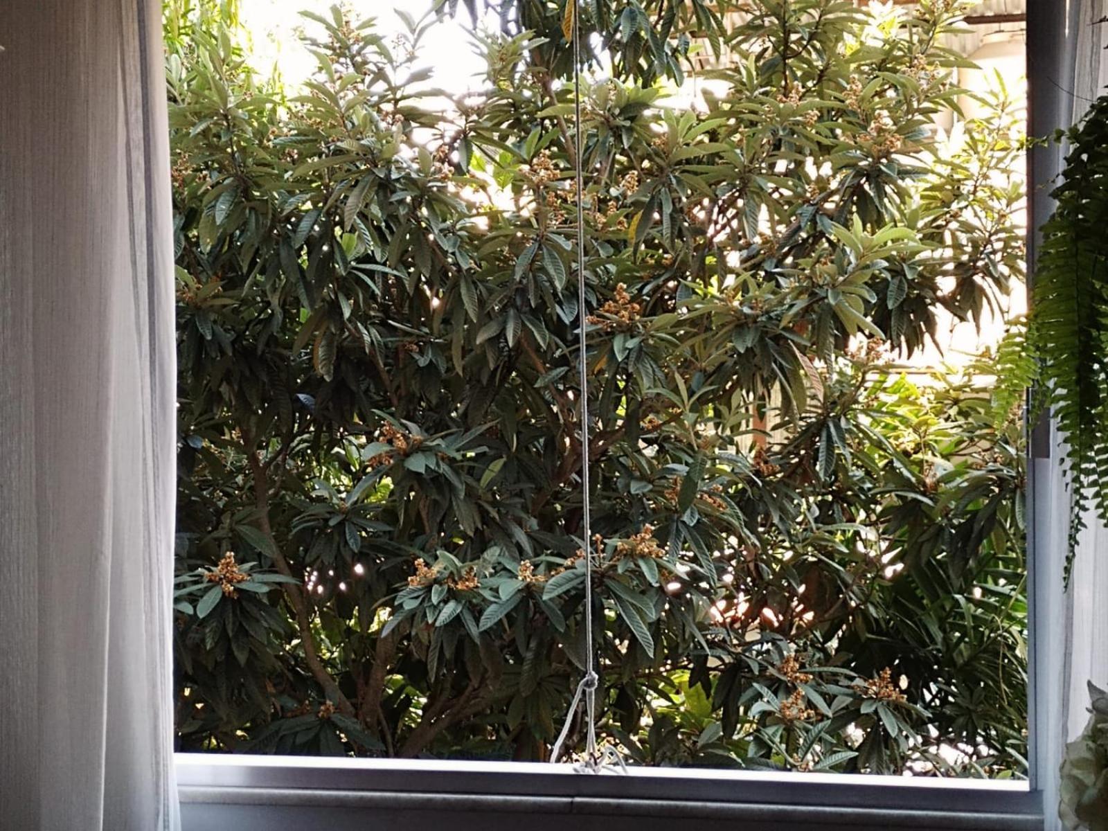 Apartamento Parque Jardim Europa 里约热内卢 外观 照片